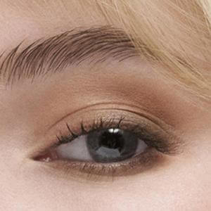 Estée Lauder The Essential Eyeshadow Quad